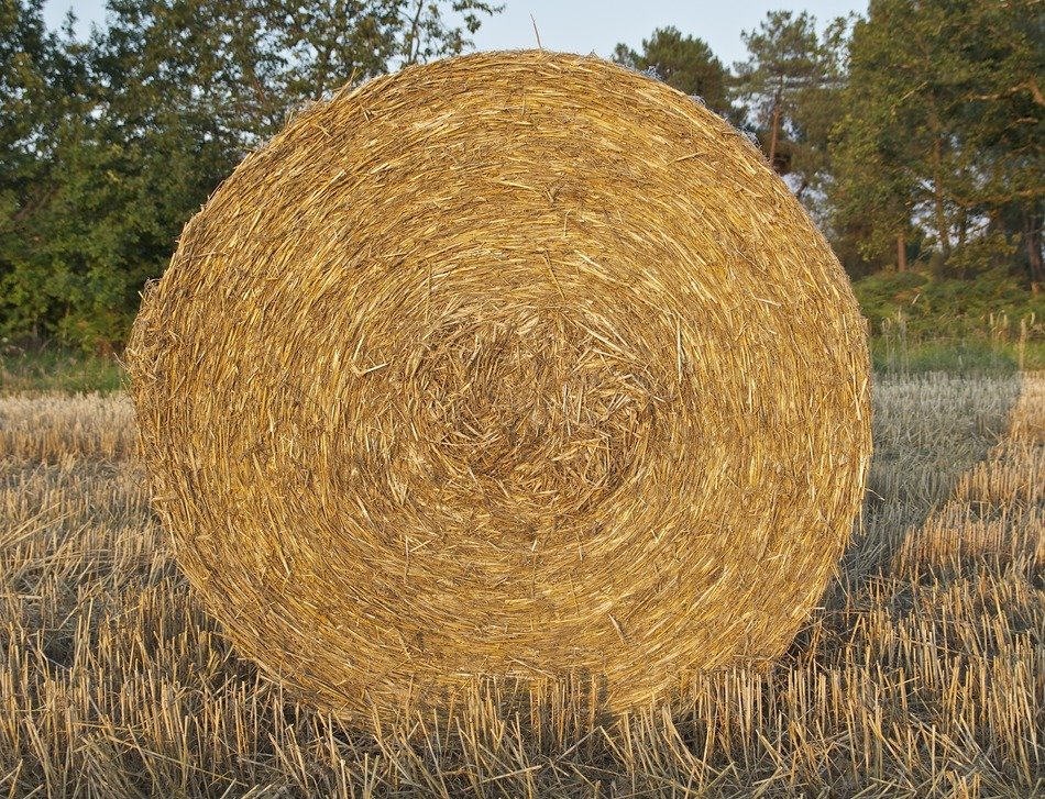 rustic hay bale in france
