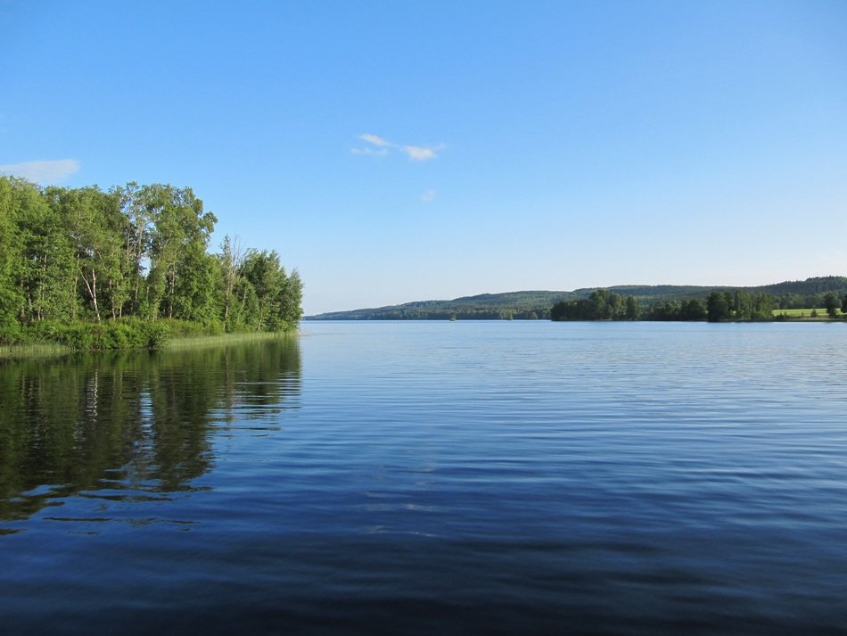 green trees near asasjÃ¶n lake in Sweden