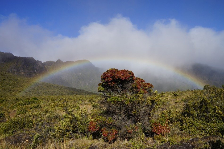 rainbow over mountain scenery in hawaii