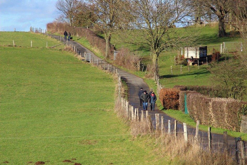 walk along the green field