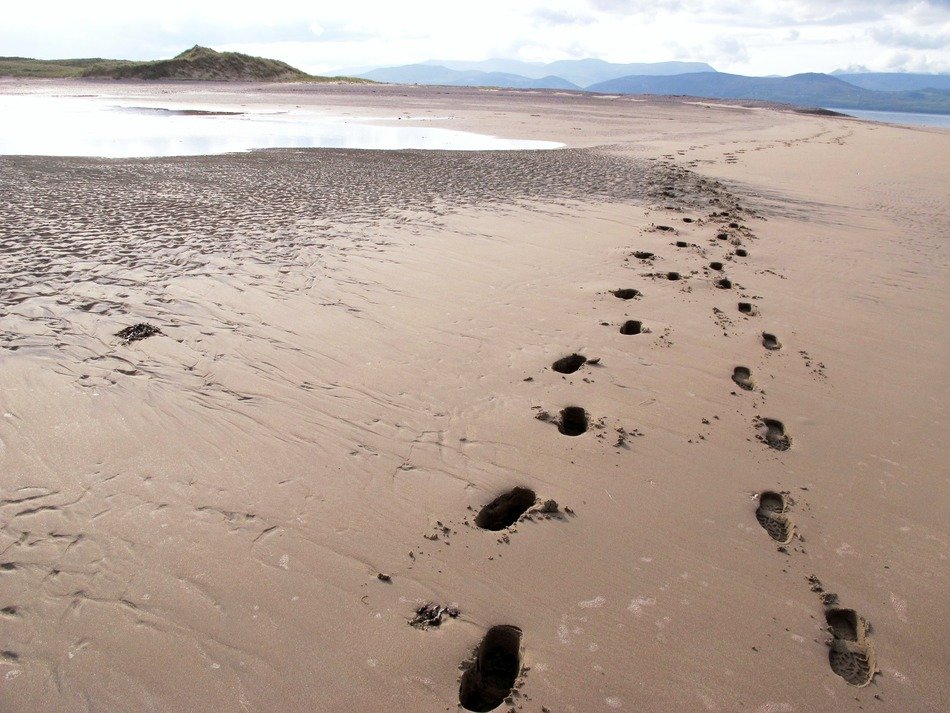 footprints in the sand on the beach