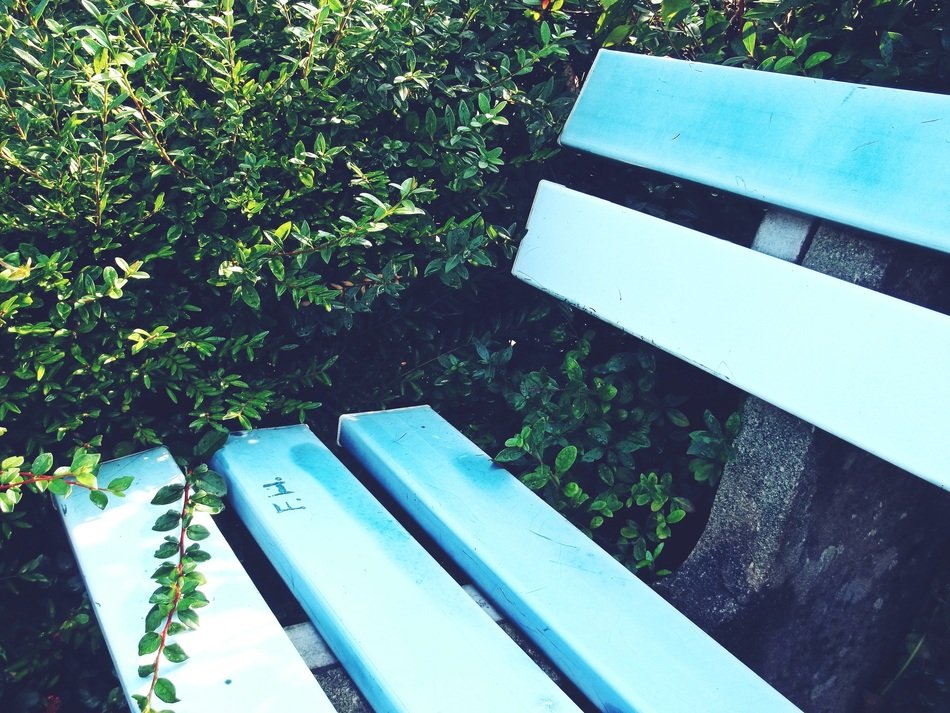 blue bench in the garden