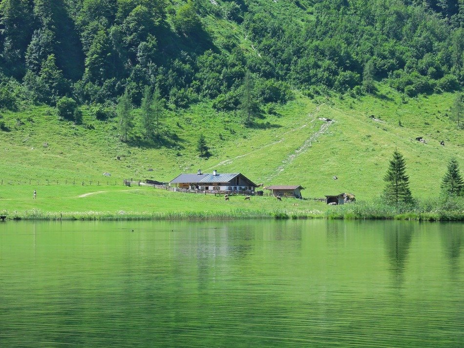 Cabin in a green meadow near the lake