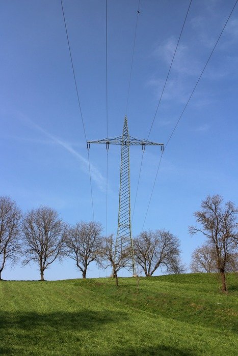 power lines over trees on a sunny day