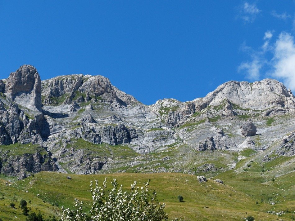beautiful and delightful cimonasso