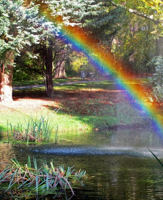 rainbow over the water