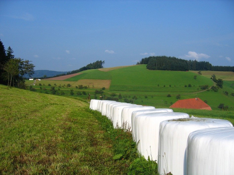 meadow hay straw black forest