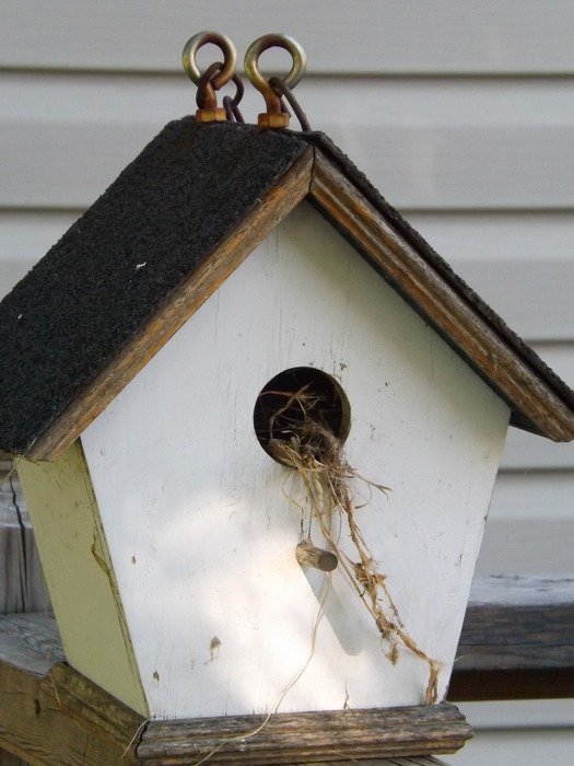 birdhouse in the form of a house