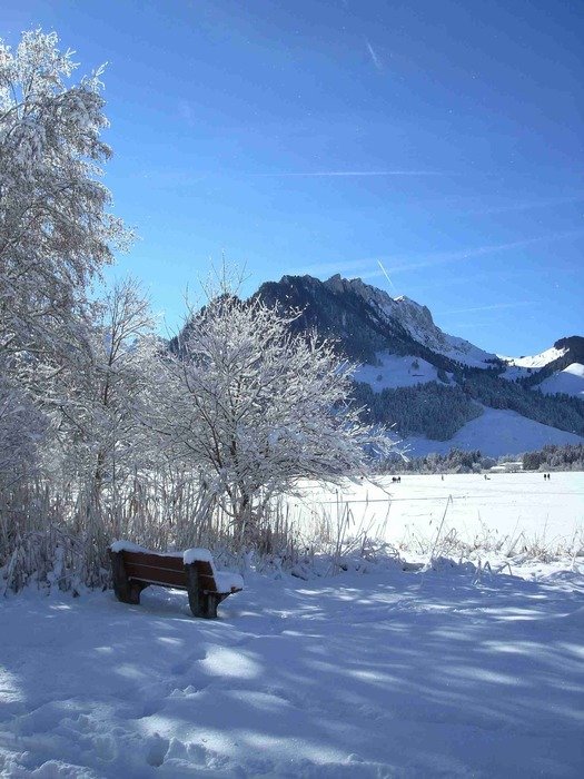 winter landscape on the background of mountains