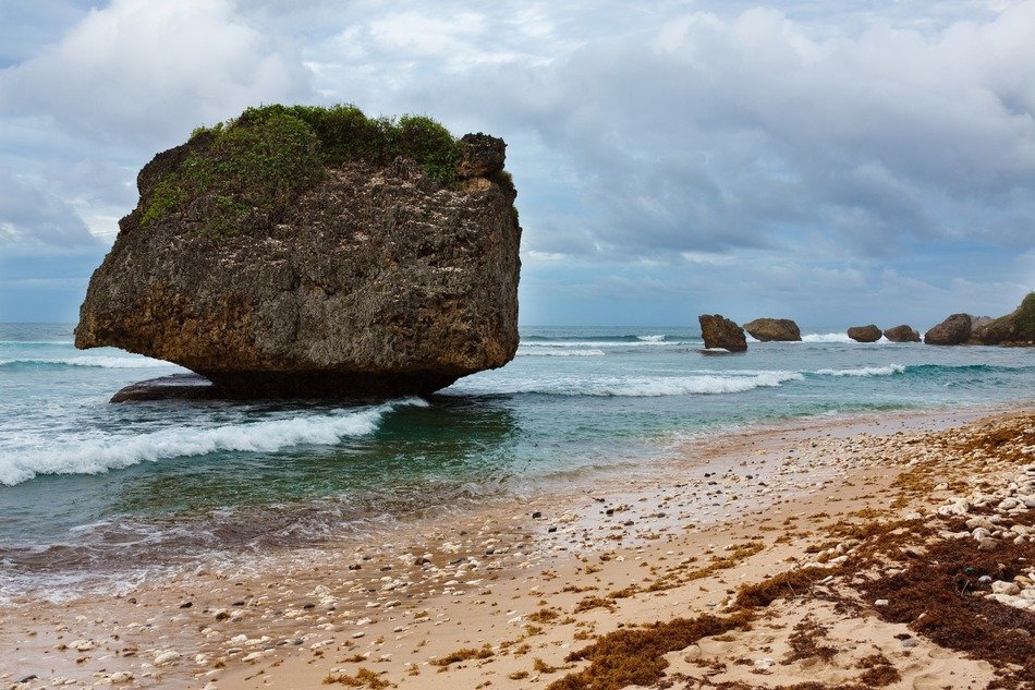 Landscape Picture of coast in bathsheba