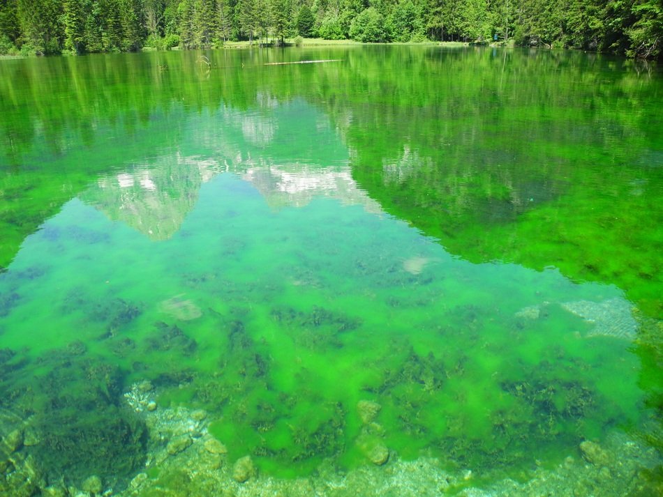 alpine green lake