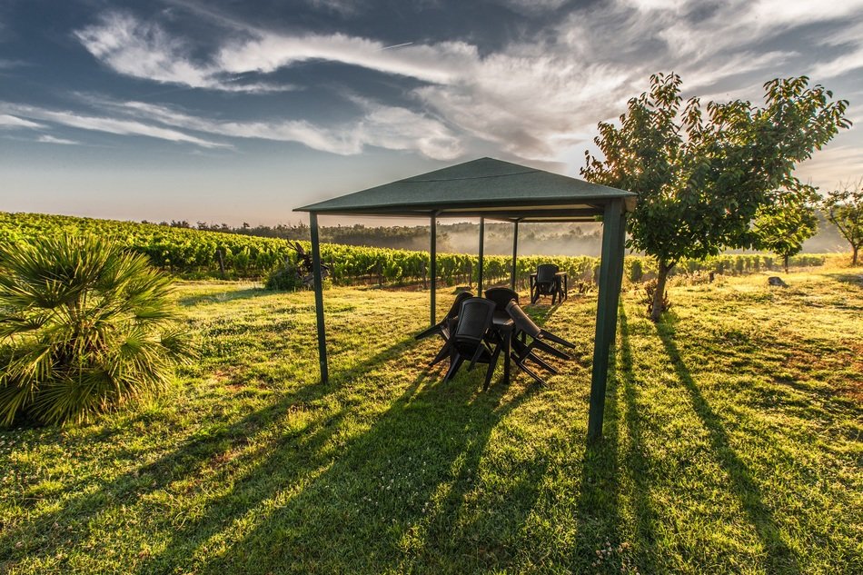 Gazebo tent for relaxing on a beautiful and colorful field in Tuscany, Italy