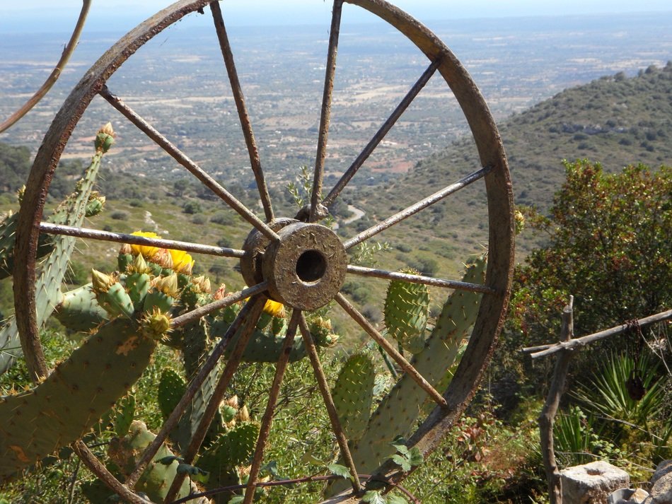 metal cart wheel on a green slope on the shores of the Mediterranean Sea
