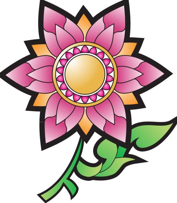 Picture of pink thai plant