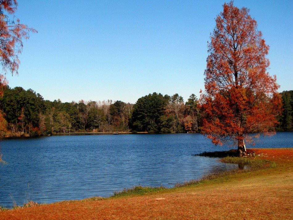 sunny autumn on the lake