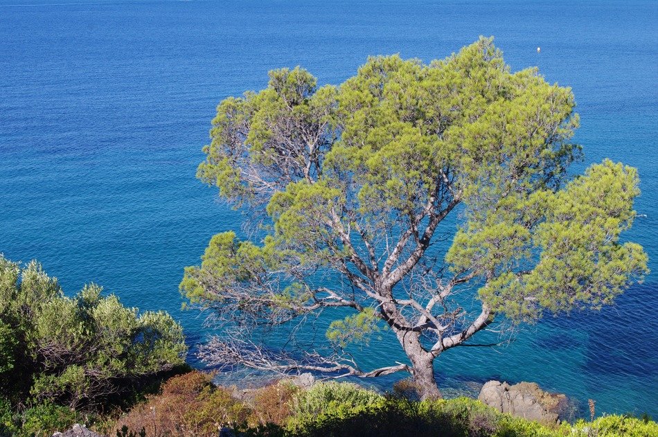 Coast in the north of France