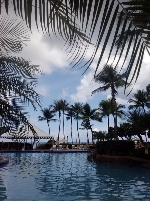 splendiferous swimming pool