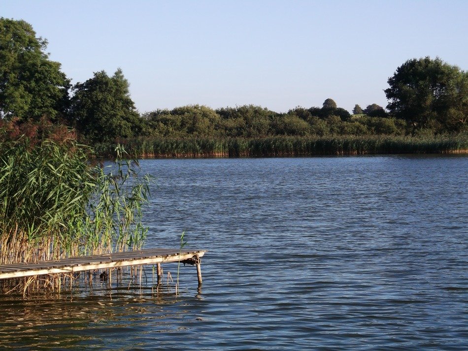 anglo-web landscape of lake