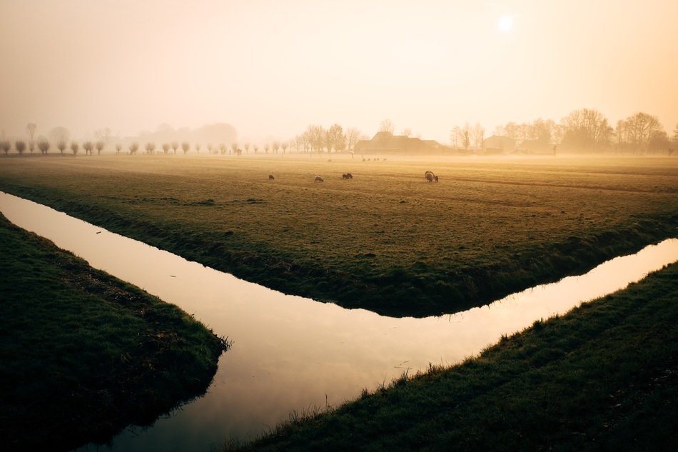 water channel among the field