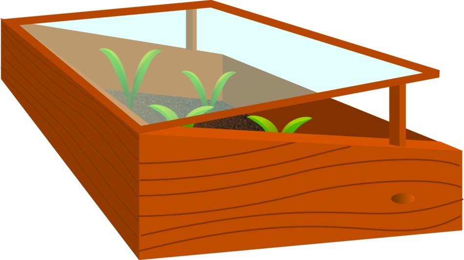 seedlings in wooden box greenhouse, drawing
