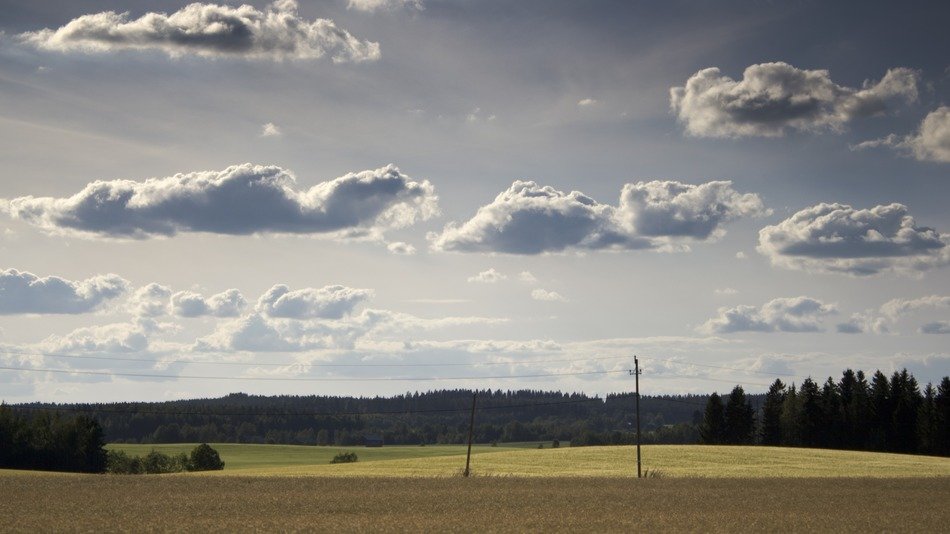farmland in finland