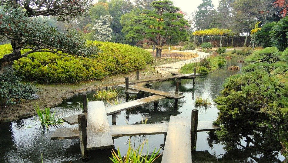curve bridge over the river in the park