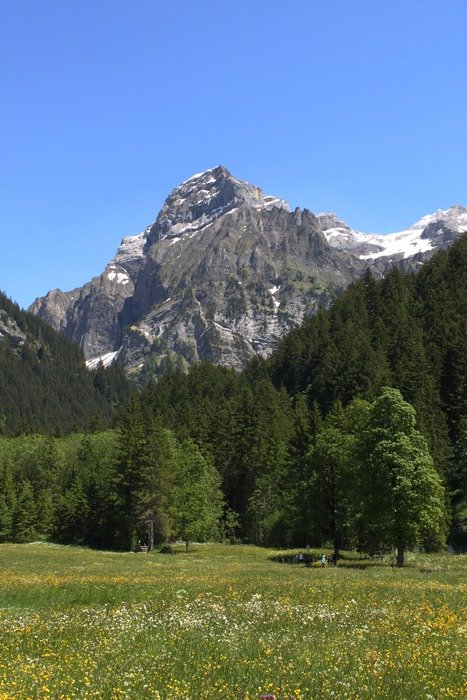 switzerland steering ammertenhorn