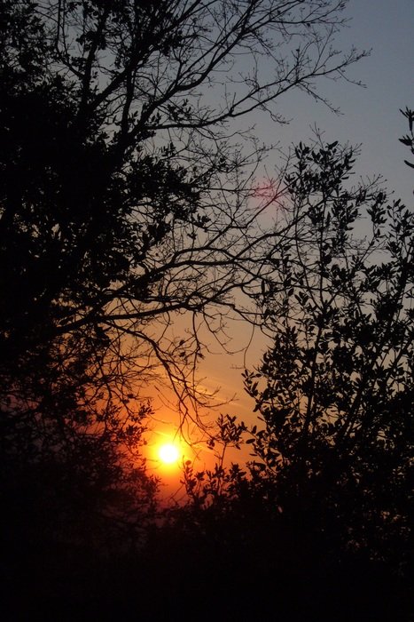 Darkens in the evening time