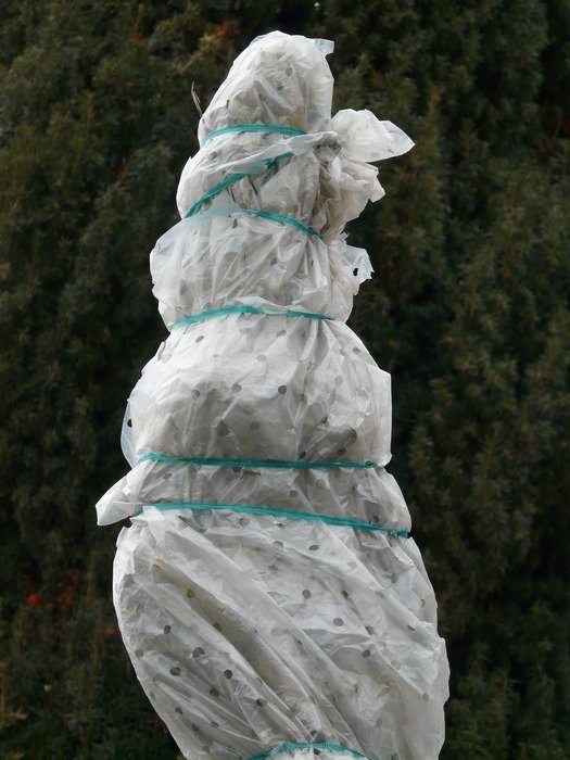 protection from cold for plants in the winter