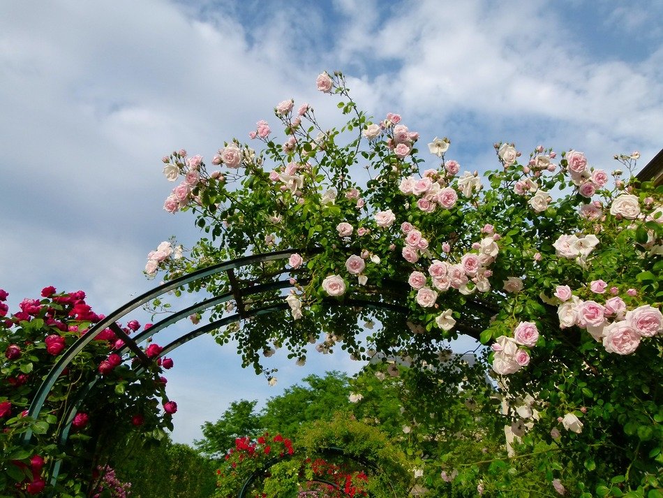flower arches as decor