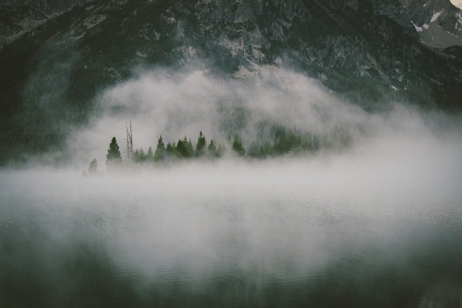 Trees on the hill in the haze
