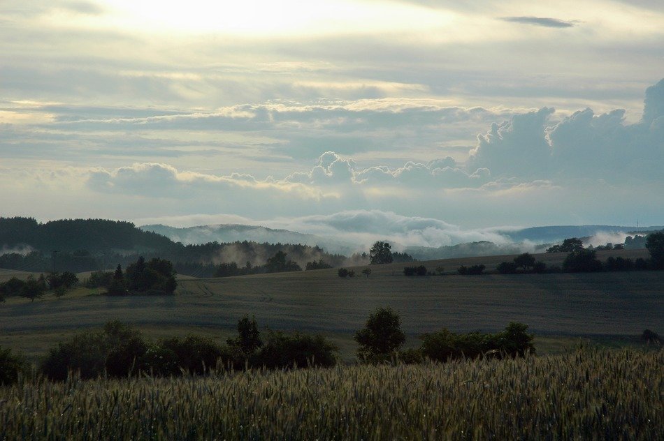 fog hinterhermsdorf