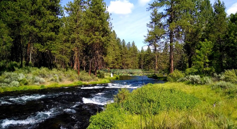 Collier Park in Oregon on a sunny day