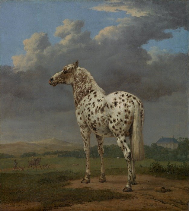 Painting of Paulus Potter