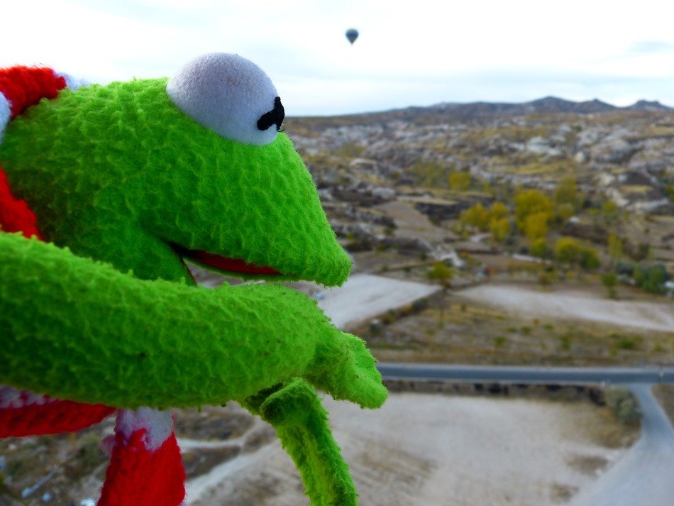 knitted frog on the background of rock formation