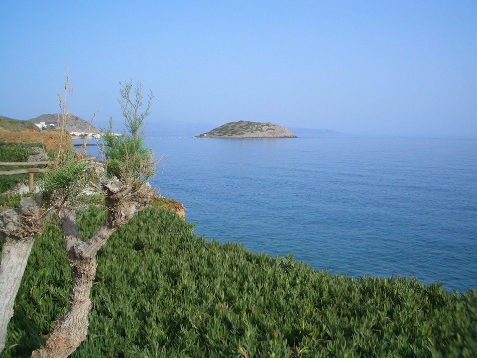 Island in the sea