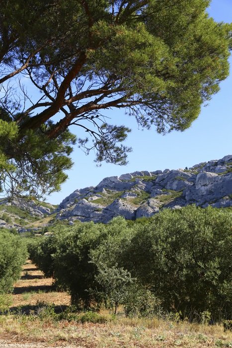 beatuful landscape of south of France
