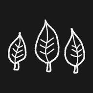 Environmental protection concept Protect our forests and ecolog N134