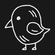 Doodle Bird N25
