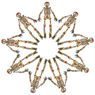 skeleton vector pattern