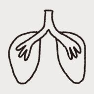 doodle lung N15