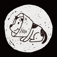 doodle dog collar N7