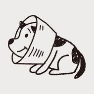doodle dog collar N8