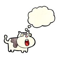 cartoon shocked cat with thought bubble N3