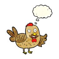 cartoon old rooster with thought bubble N3