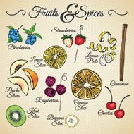 FRUITS &amp; SPICES - hand drawn elements