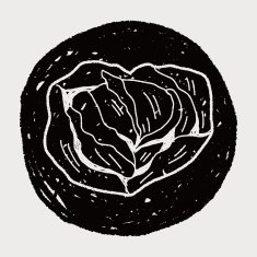 Cabbage doodle N37