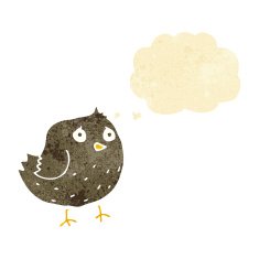 cartoon bird with thought bubble N52