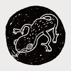 Doodle Lizard N5