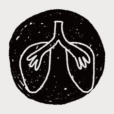 doodle lung N13